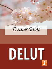 Delut_medium