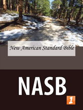 NASB Cover