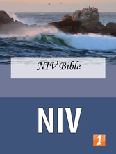 NIV Cover