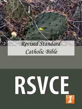 RSVCE Cover